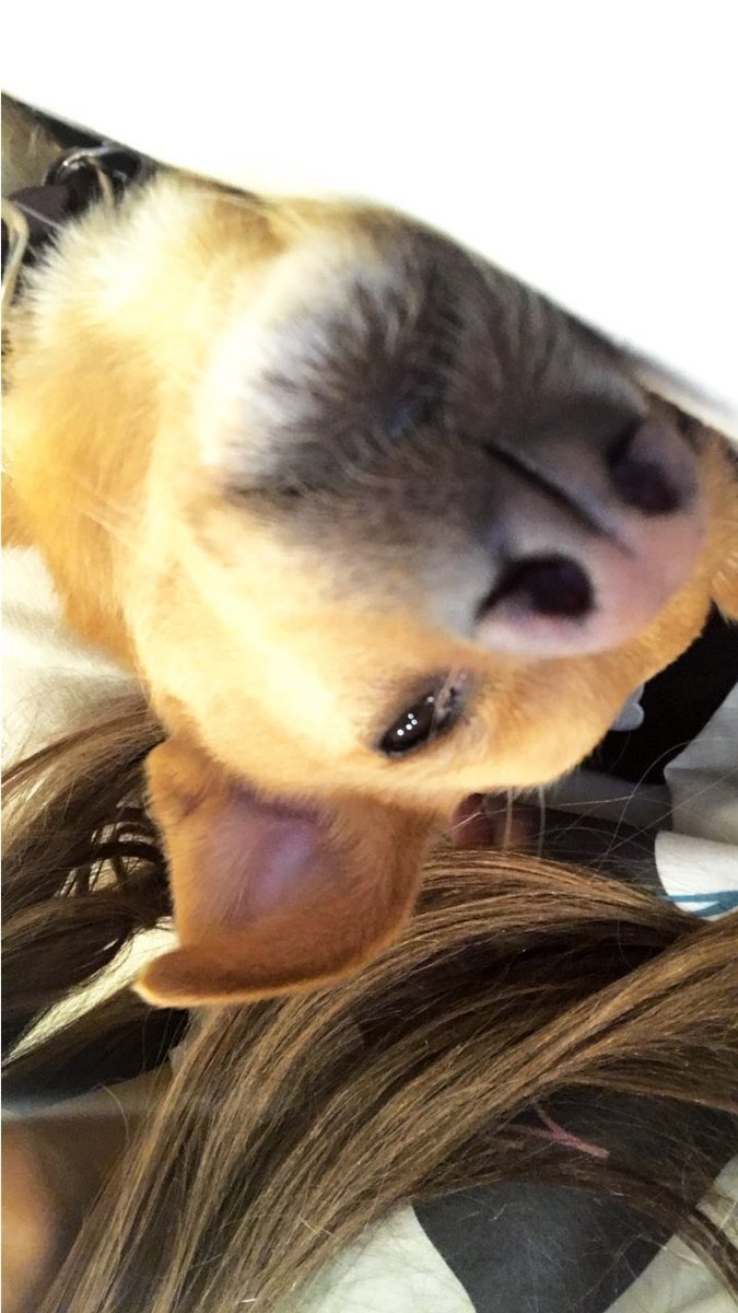 onelovesem's tweet photo. #3 Ariana via her Instagram Story, July 25th. https://t.co/B3i1LCqMw8