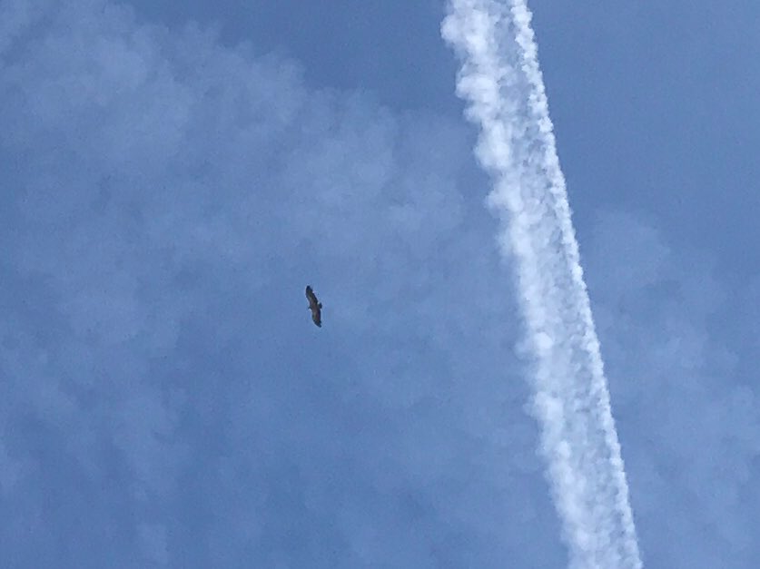 eliasmgf's tweet photo. x sierto los están utilizando para luchar contra los chemtrails #acertando https://t.co/1geDeY0KuB