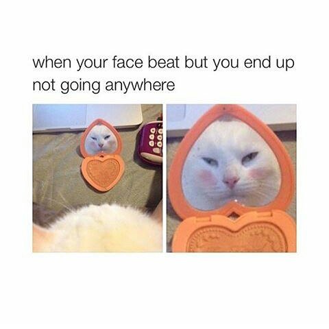 #smrodcats #kitten #funny #cute #kittenmeme #kittenmemes #cats #kitten #cats #kittenlover #kittenlovers