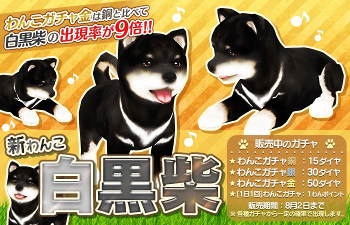 公式 てのひらワンコ ぶるたん 新登場のわんこ 白黒柴 ぶる 黒と白の珍しい被毛の柴犬ぶるね 胸元の白い模様がかっこいいぶる T Co Yiukpih7f0 てのワン 犬 T Co Swdxlbfwfo Twitter