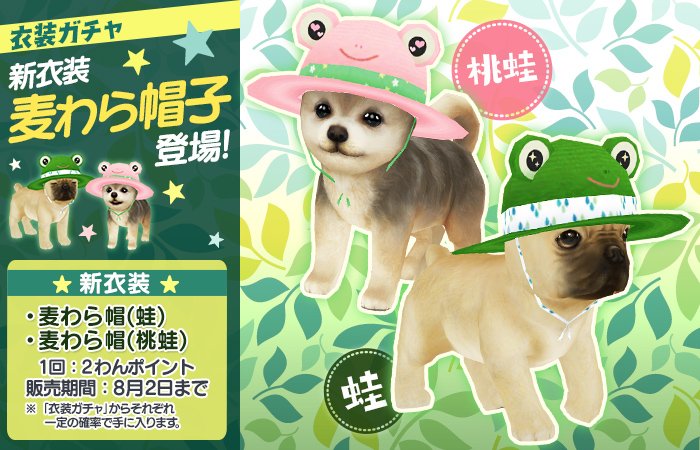 新登場の衣装1つめは「麦わら帽子」ぶる！かわいい麦わら帽子でお散歩するぶるよ～！ sp.age-corp.jp/tw/news/detail… #てのワン #犬