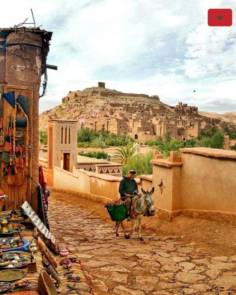 nt_wzd's tweet photo. #Maroc #Morocco #Art #Food #Colours #Travel #Vacation #Architecture #Nature #Exotic #Marokko #Marruecos #المغرب #جمال #Hassan2 #Mosque https://t.co/W8jp2wT2Gy