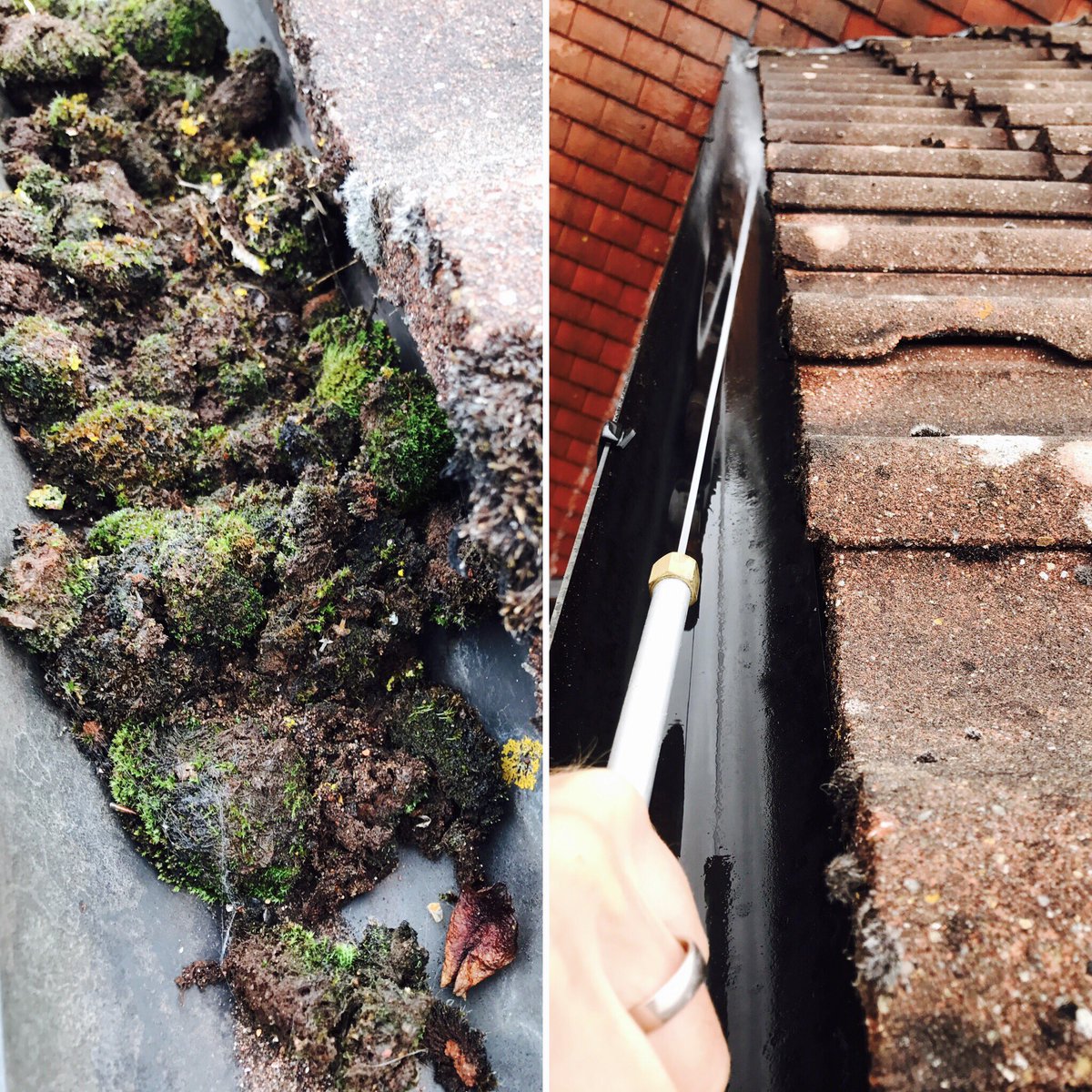 MarkProCleaning's tweet photo. Adios moss! Nice clear #gutters for another #happyclient this morning in #TunbridgeWells #MarkProCleaning https://t.co/SeGnJm8Nh9