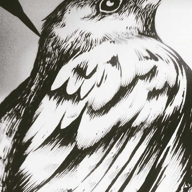 cadelbrado's tweet photo. New beers, new labels... stay tuned! #brado #cuveé #beerdesign #inked #wildbeer #craftbeer #birds #beautifulbeers https://t.co/l7osmejytF https://t.co/iUmTsEnWpr