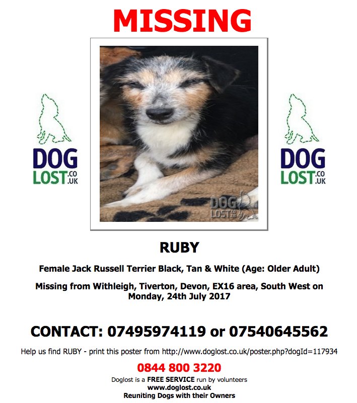 DogLostUK's tweet photo. #LOST RUBY Female #JackRussellTerrier #Withleigh #Tiverton #Devon #EX16 #Lostdog #ScanMe  https://t.co/FSK1dmOnxa https://t.co/yEPeeqBev4