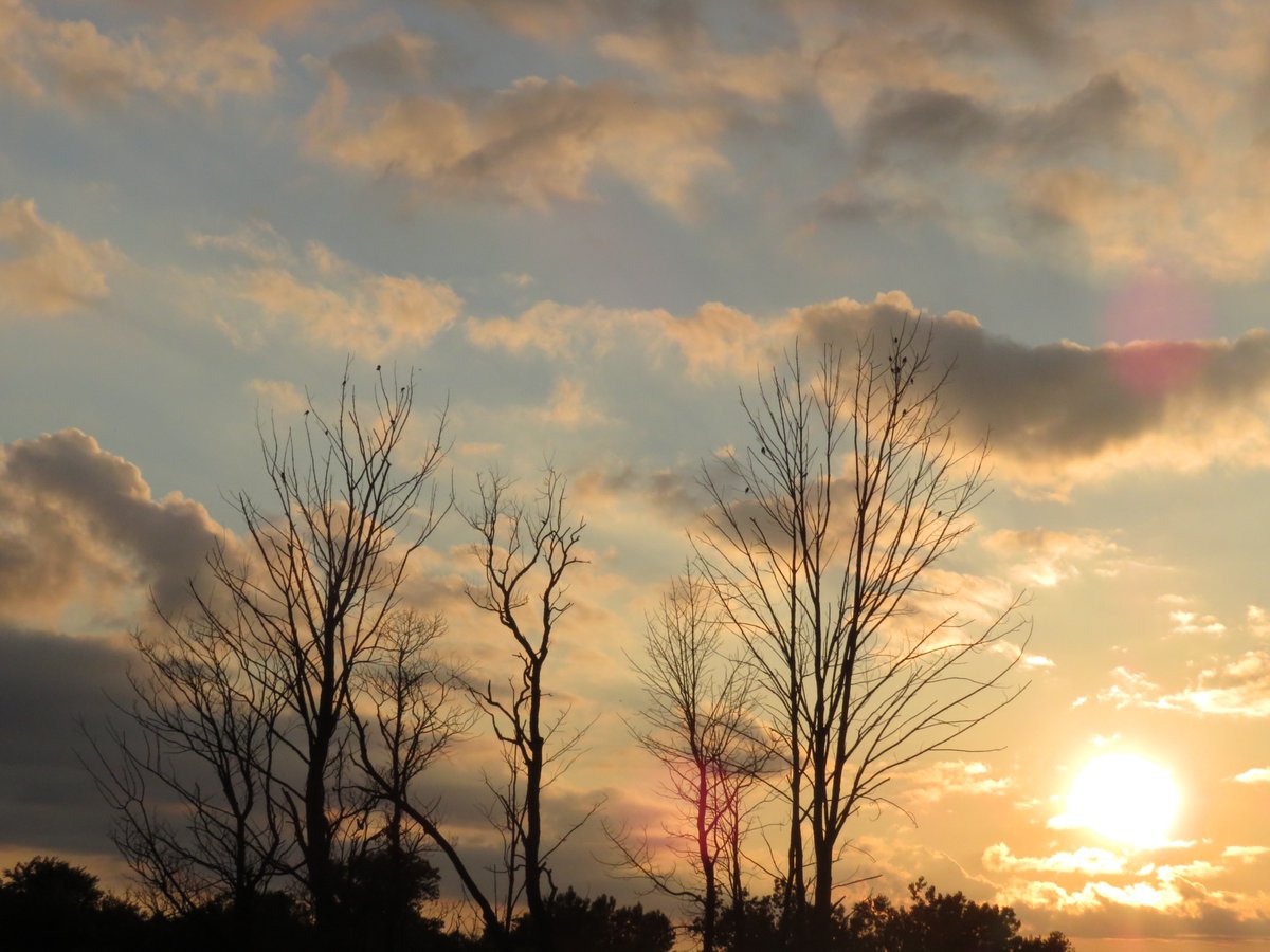 PLKlein_Author's tweet photo. "There is no distance on this earth as far away as yesterday." ~ #RobertNathan #QuickQuotes #Distance #Yesterday https://t.co/pN9tuWm71B