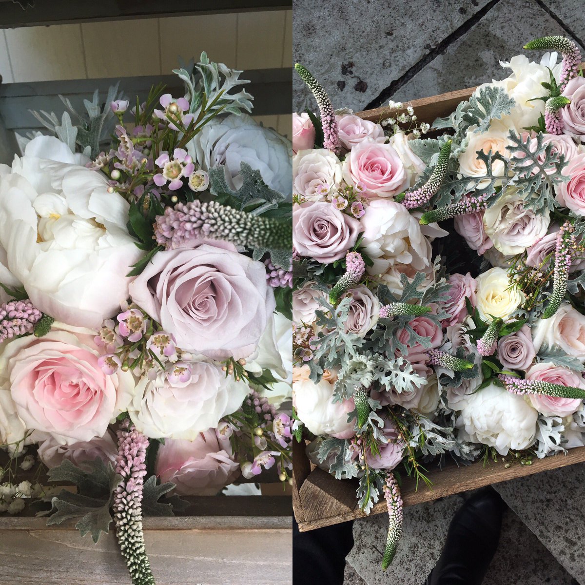 benningblooms's tweet photo. Bridesmaids bouquets 😍 soft pinks and grey roses #greyrose #benningtonblooms #newarkcastle #weddingflowers https://t.co/VTmk0DsIQ7