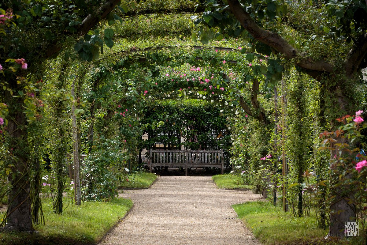 Сады времен значение. Пергола сад Франция. Жасминовый сад Париж. Пергола в Ботаническом саду это.