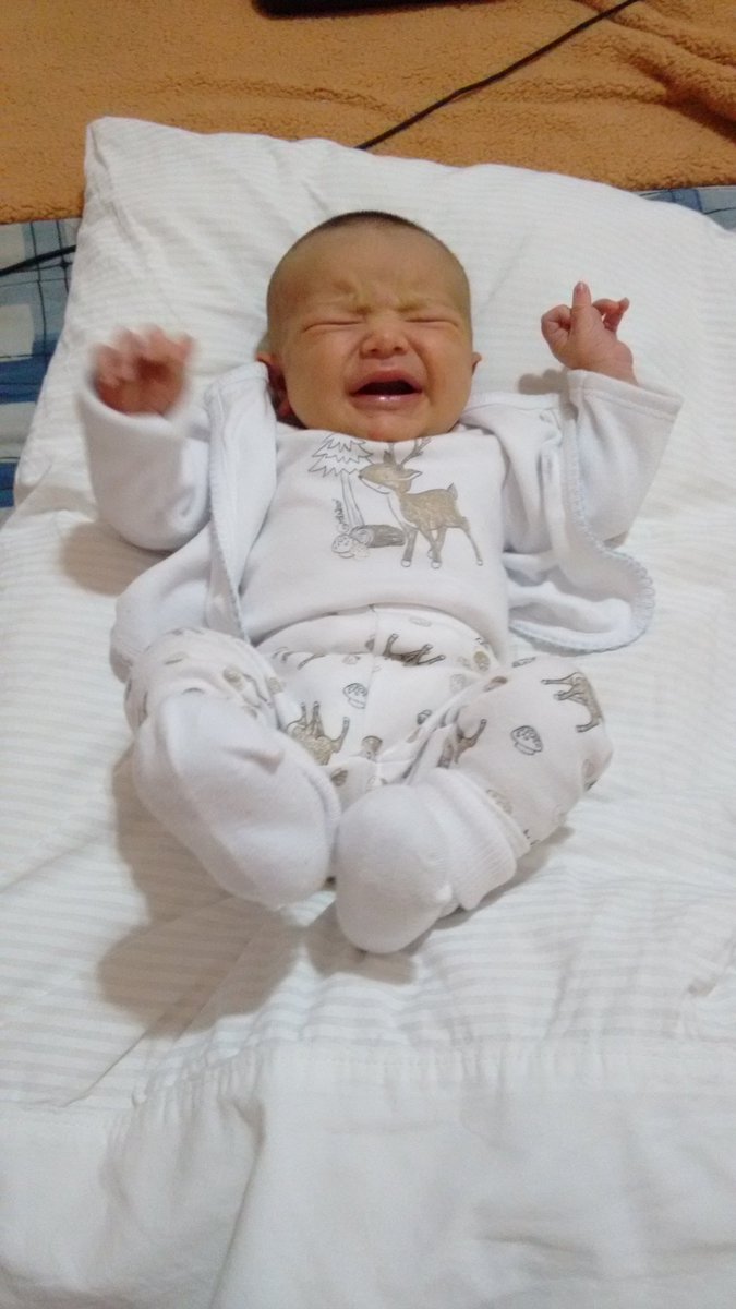 MMicaelarrua's tweet photo. Las noches no son para dormir, decían............... 
Se regala bebesito muy cariñosito. https://t.co/sARSiiIRHH