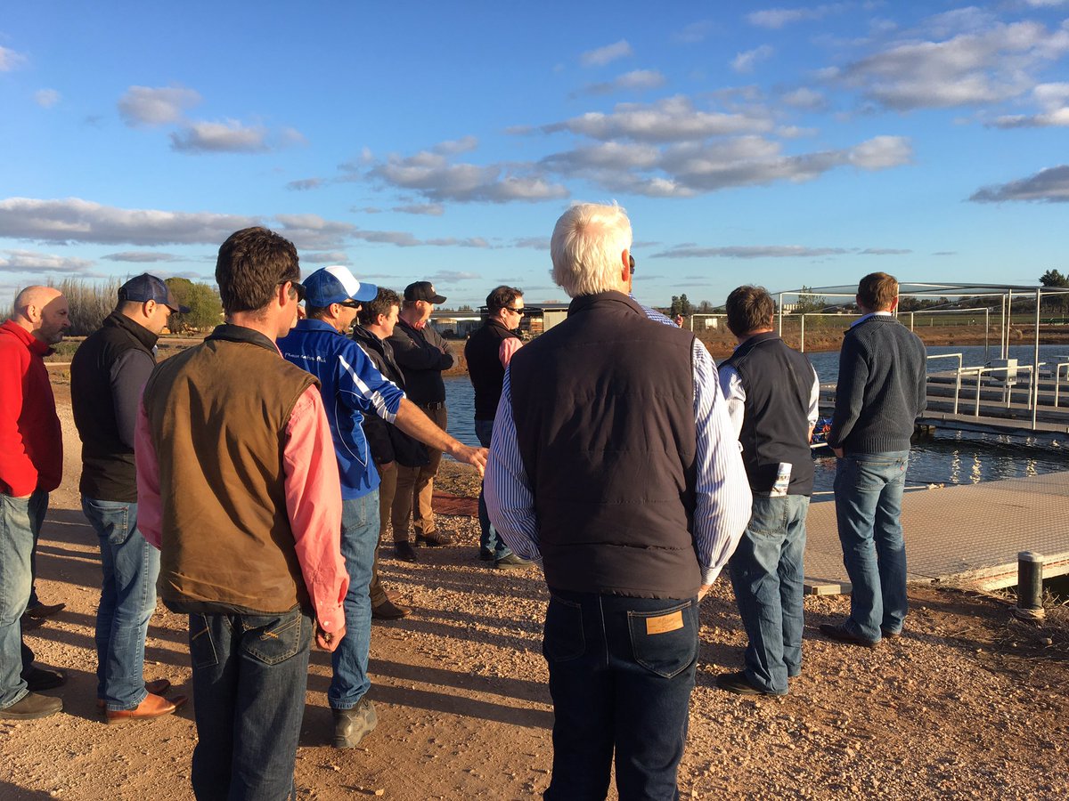 plminahan's tweet photo. Fishy fishy. @EldersLimited and B&amp;W staff check out a different kind of farm at Murray Cod Australia Griffith. #LiveIt https://t.co/u26tAaCQAk