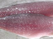 経沢 香保子 キッズライン社長 高時給 徒歩5分 鯵の三枚おろしの宿題を14歳娘と一緒にやってくださる方募集 T Co 7alhu5ygh6 キッズラインの面白シッター求人からピックアップしてみました T Co Fhzwa7copx Twitter