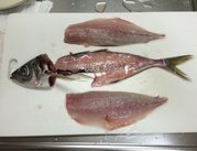 経沢 香保子 キッズライン社長 高時給 徒歩5分 鯵の三枚おろしの宿題を14歳娘と一緒にやってくださる方募集 T Co 7alhu5ygh6 キッズラインの面白シッター求人からピックアップしてみました T Co Fhzwa7copx Twitter