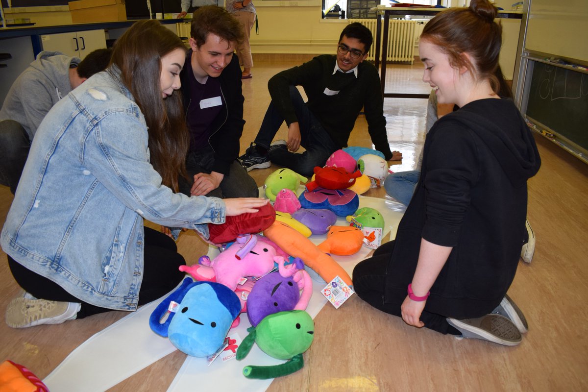 CDBS Edinburgh tweet media