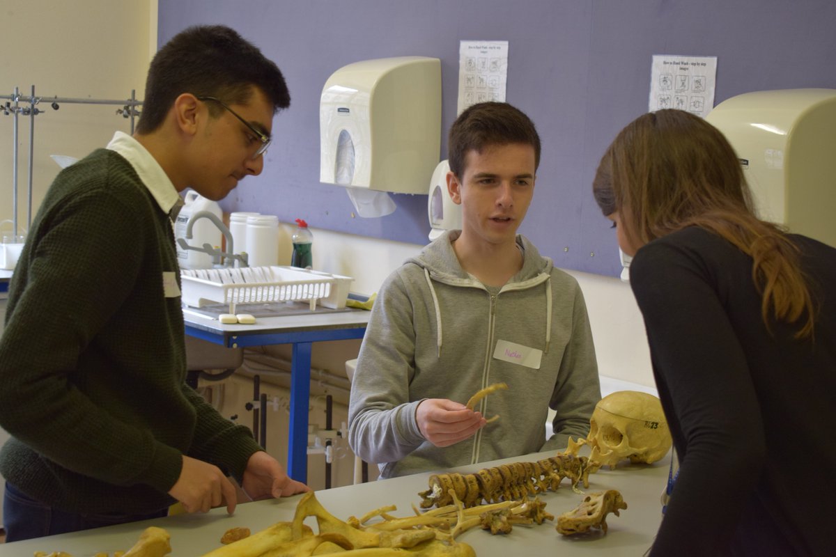 CDBS Edinburgh tweet media