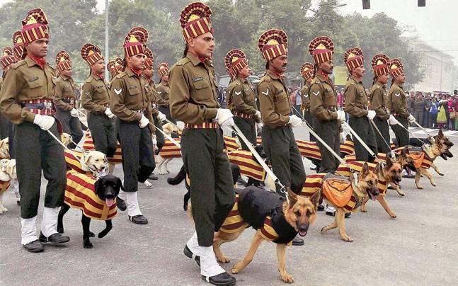 DefencePost's tweet image. #Delhi: 30 New #ArmyDogs To Guard City Spots-goo.gl/tPm6cE @adgpi #NSG