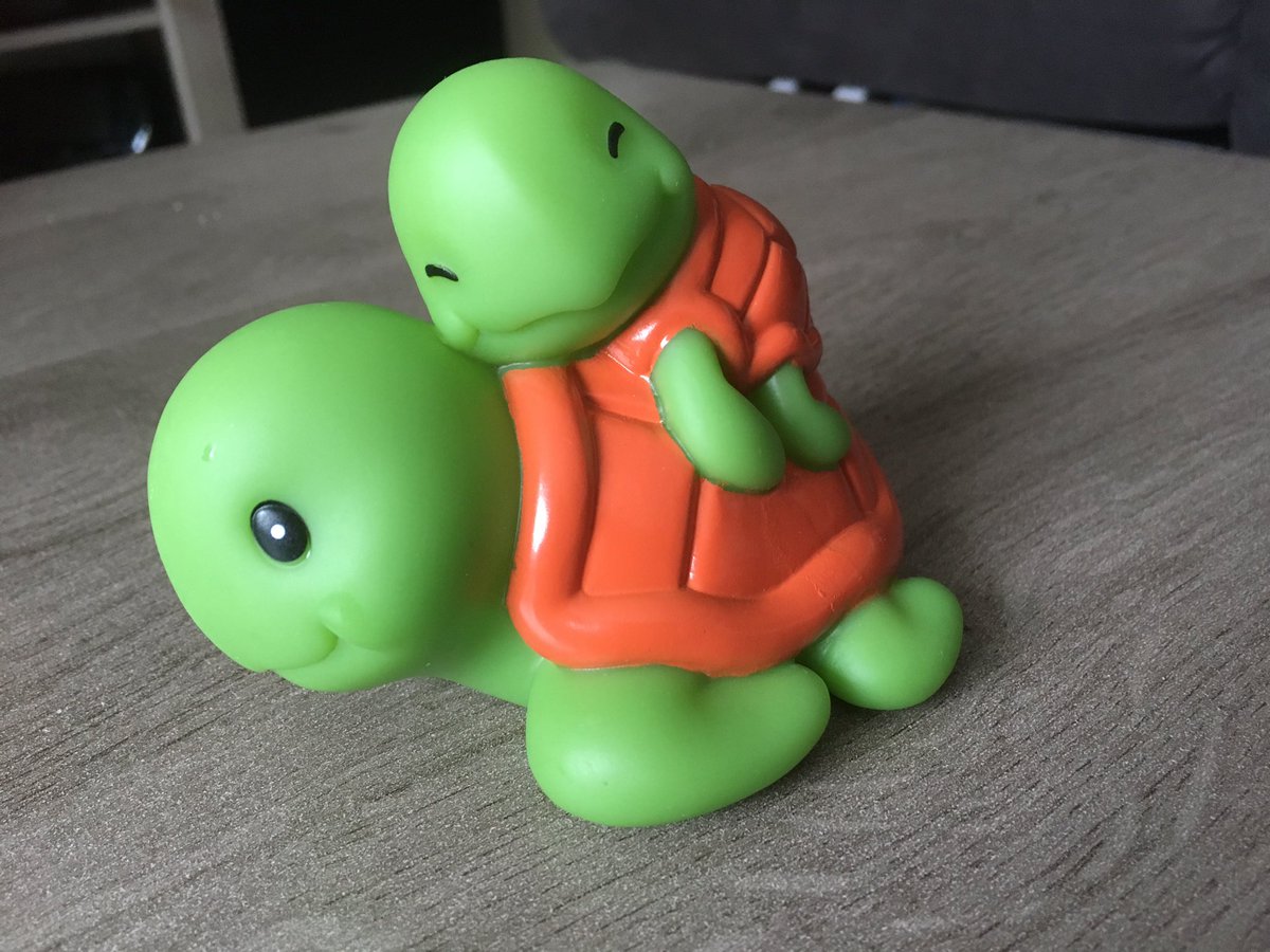 Luna240681's tweet photo. Bon j'ai craqué à l'Intermarché ! Mais je suis excusée non ? C'est tellement mignon !!!!! #turtleaddict https://t.co/I385KpDYau