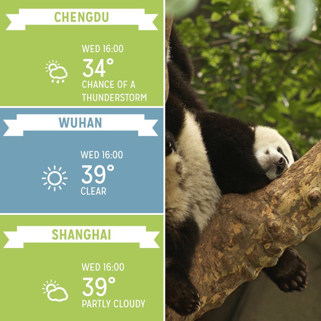 AirpocalypseApp's tweet photo. The pandas are melting in these temperatures! Check #airpocalypseapp for some #cheeky tips to #staycool during the #heatwave #whereistheAC https://t.co/PmvhetZpSl