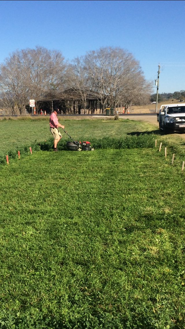 JJSquibb's tweet photo. Perfect day for cutting #PastureDevelopmentTrials . Time to crunch some numbers now 👍🏻 #EldersIncitec @EldersLimited @GrahamPage01 https://t.co/iTH8UfNSzL