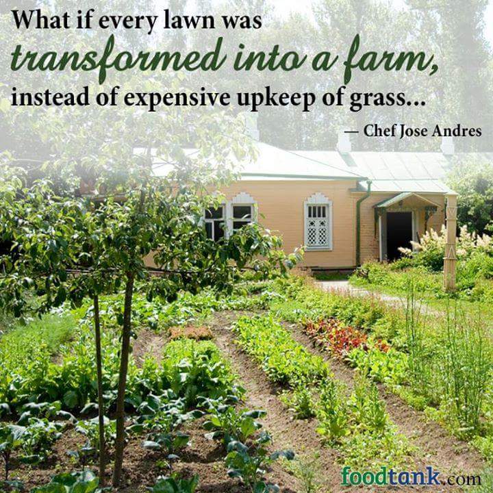 foodtank's tweet image. What would happen if we transformed our lawns into food-producing gardens? We might be one step closer to food security for all peoples....