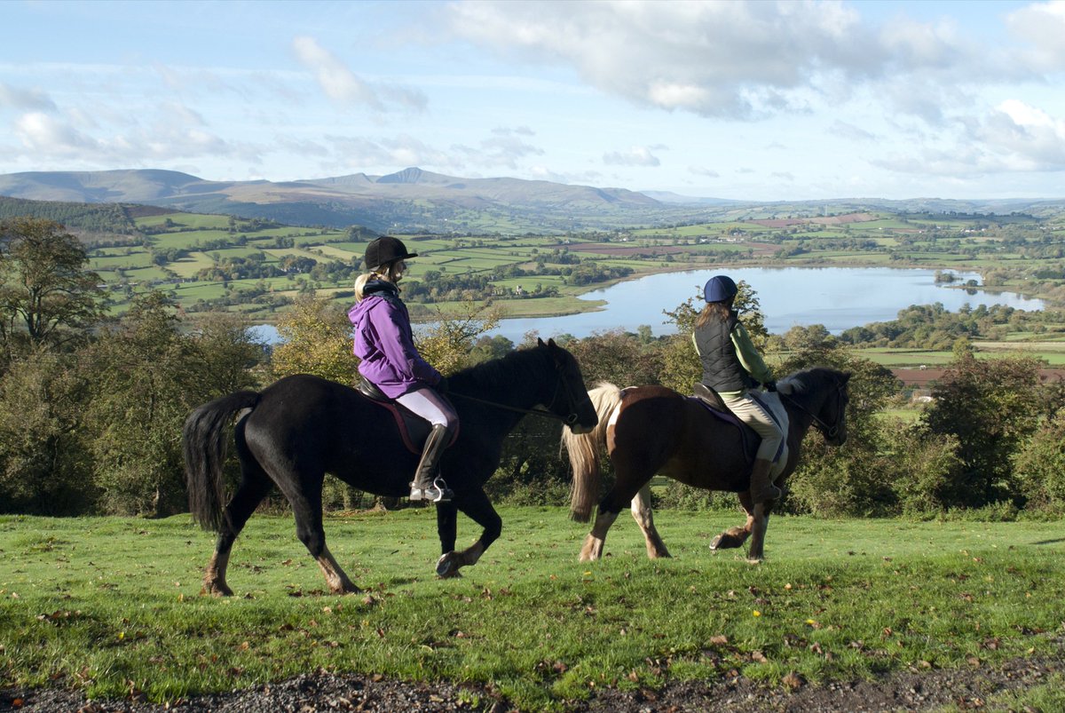 llangorsemac's tweet photo. Book a 1/2 day trek this summer! All ages &amp; abilities welcome #HorseRiding #SchoolHolidays @fyitalgarth @agooddayout https://t.co/uUBOSY9T8Z