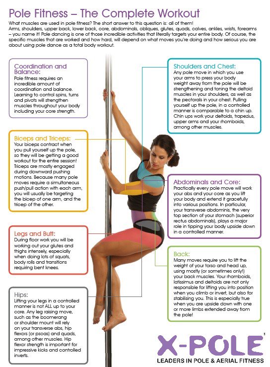 XPoleSA's tweet photo. Everyone has something they would like to try but might be hesitant to do so #AllorNothingDay #inpoleposition #NoworNever https://t.co/dhO01hDdfp