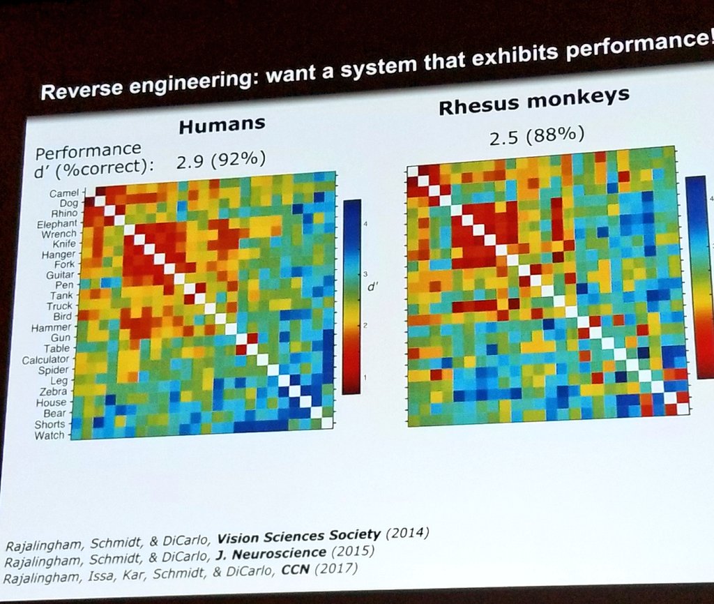 MonaJalal_'s tweet image. Still thinking about the keynote today. @drfeifei had suggested them to ask monkeys detect #MSCOCO objects! 
#cvpr17 #CVPR2017 #neurosicence