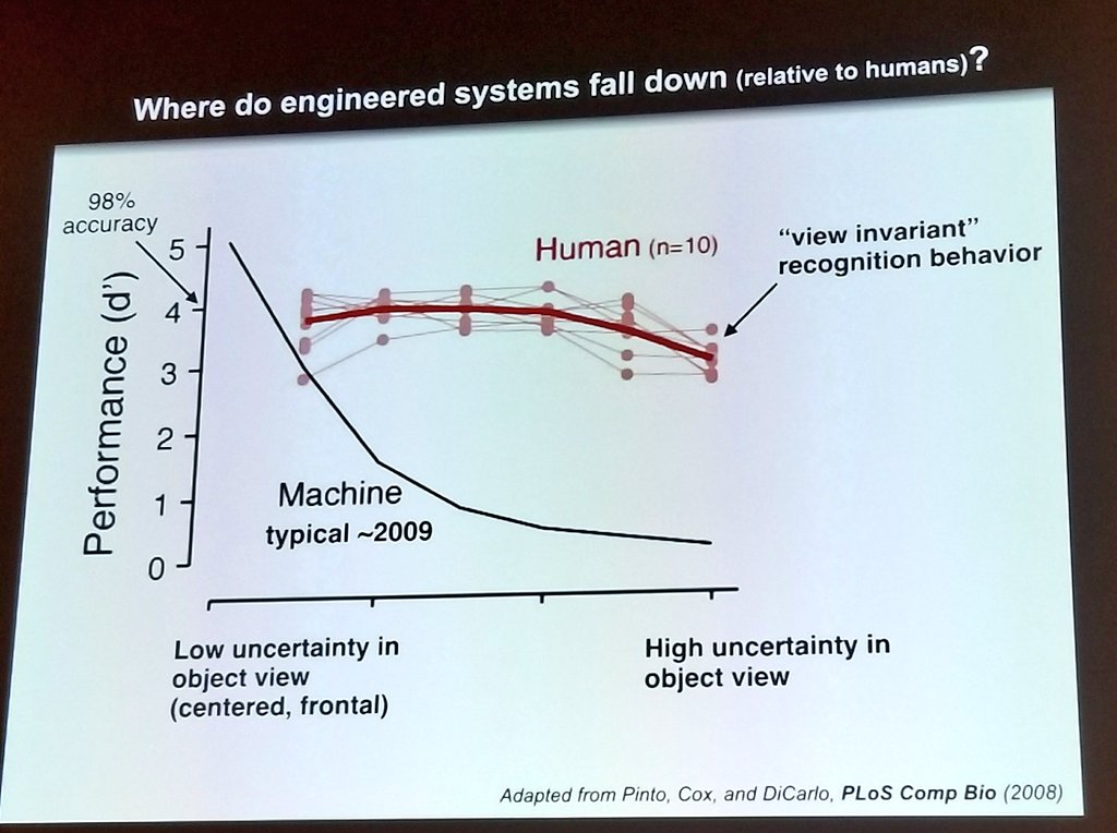 MonaJalal_'s tweet image. Still thinking about the keynote today. @drfeifei had suggested them to ask monkeys detect #MSCOCO objects! 
#cvpr17 #CVPR2017 #neurosicence