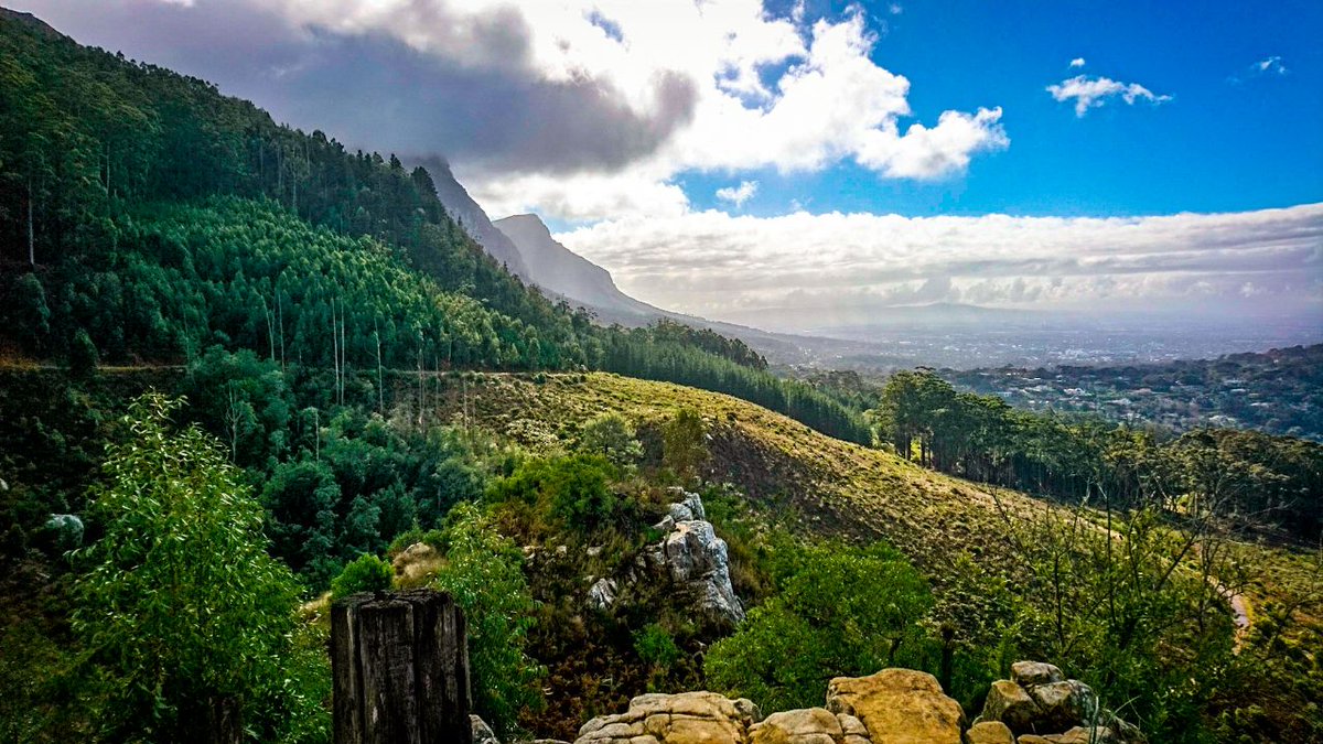 One of my happy places 😊 
<a href="/KirstenboschNBG/">Kirstenbosch Garden - Official</a> #CapeTown #trailrunning