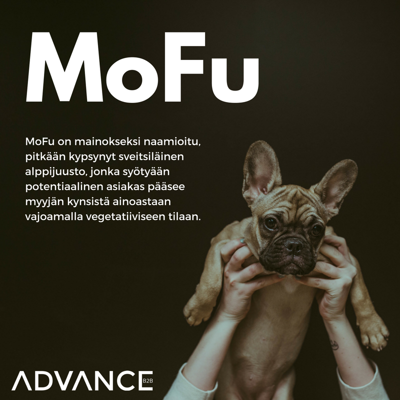 AdvanceB2B's tweet photo. MoFu-sisältö onkin juusto. 🐭 Olisitko arvannut? https://t.co/AmBtoarOoP #markkinointi #inboundFI #someFI https://t.co/qmOn08sYZ5