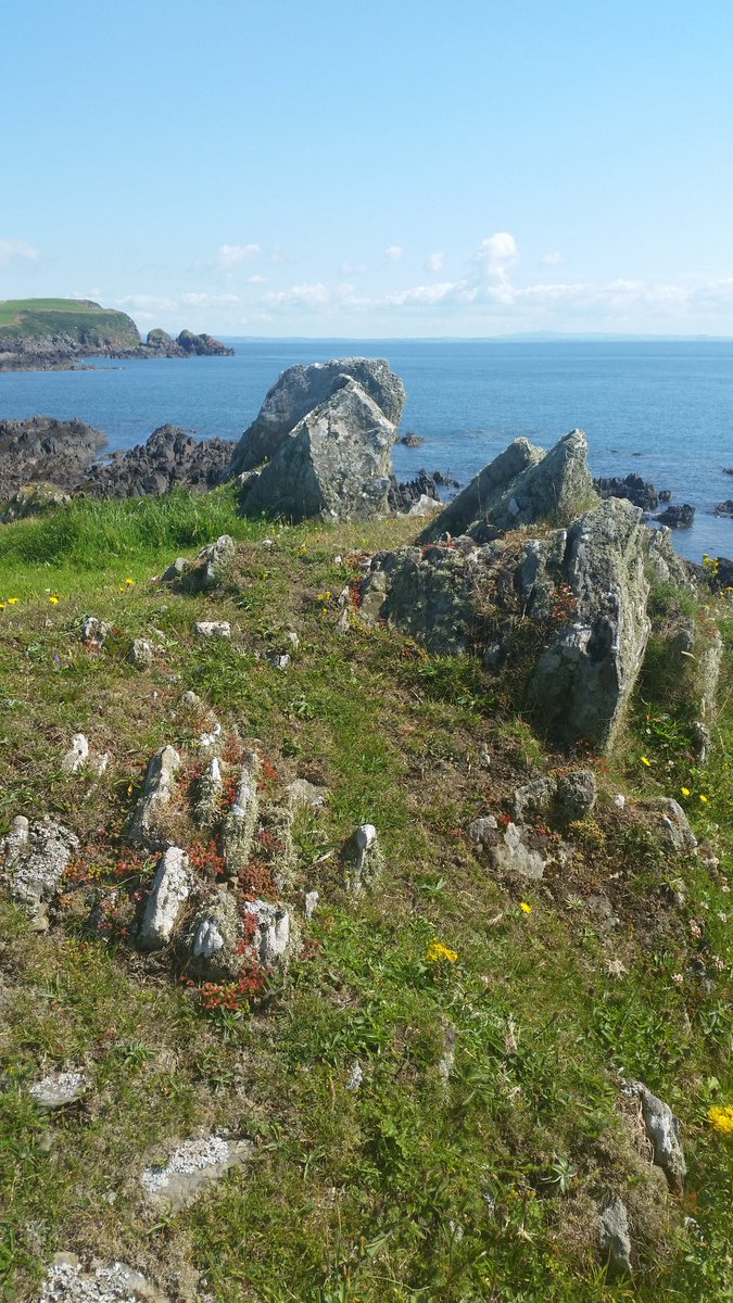 stephenwelby's tweet photo. Just spent 2 nights camping in this stunning area of southern Scotland. Was nice to get a break from the keyboard! Back home 😀 #amwriting https://t.co/knxiWlC3jo