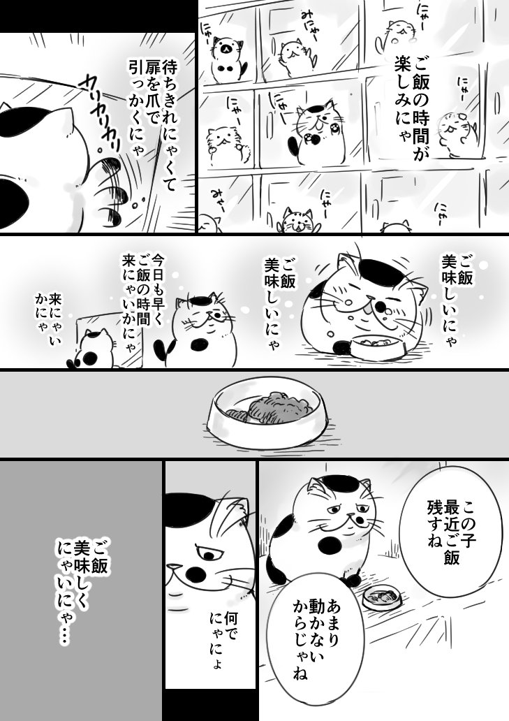 【猫漫画】おじさまと猫　「スーパーミラクルカリカリ」 