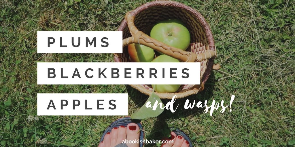 HelenRedders's tweet image. I've decided to be 'brave' &amp;amp; talk to camera about my fruit trees in this vlog. Please be kind I'm still learning 🙈🐝🍏 youtu.be/QDPlOaQR3Oc