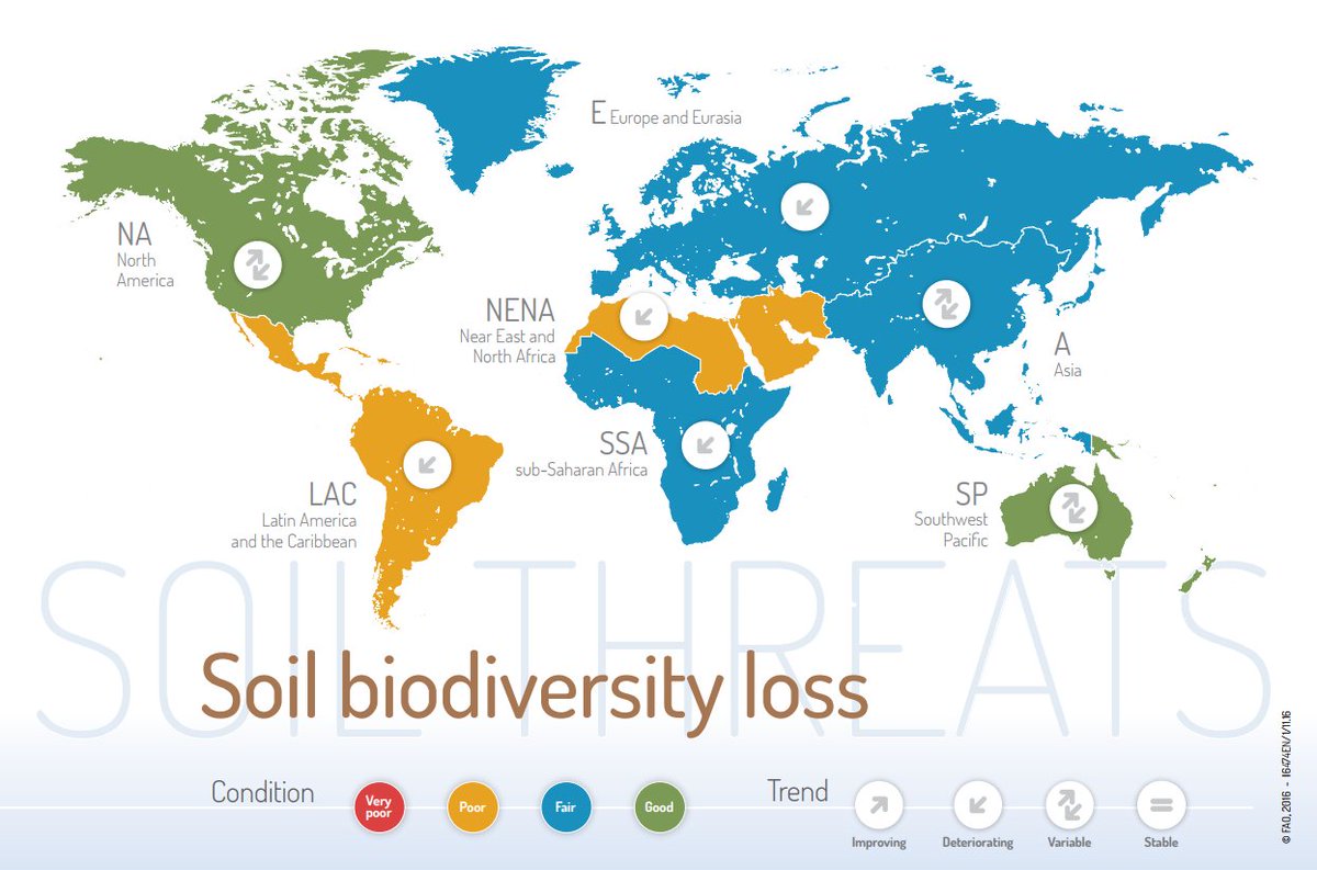 FAO's tweet photo. #Soils host approximately a quarter of our planet’s #biodiversity https://t.co/w6AWiQ6HjL via v @FAOstatistics
