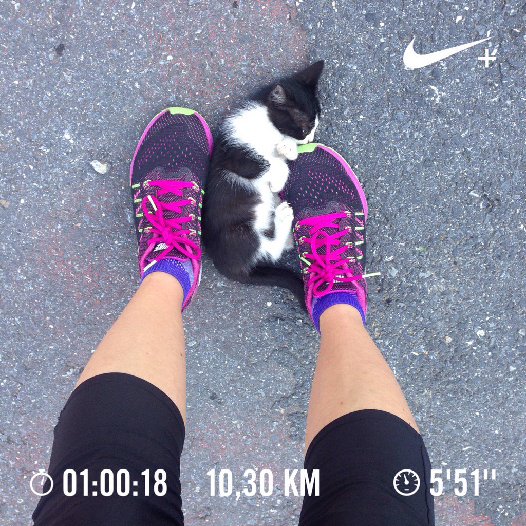burcinbayik's tweet photo. Nike+ Run Club ile 10,30 kilometre koştu. 412 kCal, 159 avg HR. #justddoit #nikeairzoomvomero10 #running #hotinhere https://t.co/ZDfozOdrQq