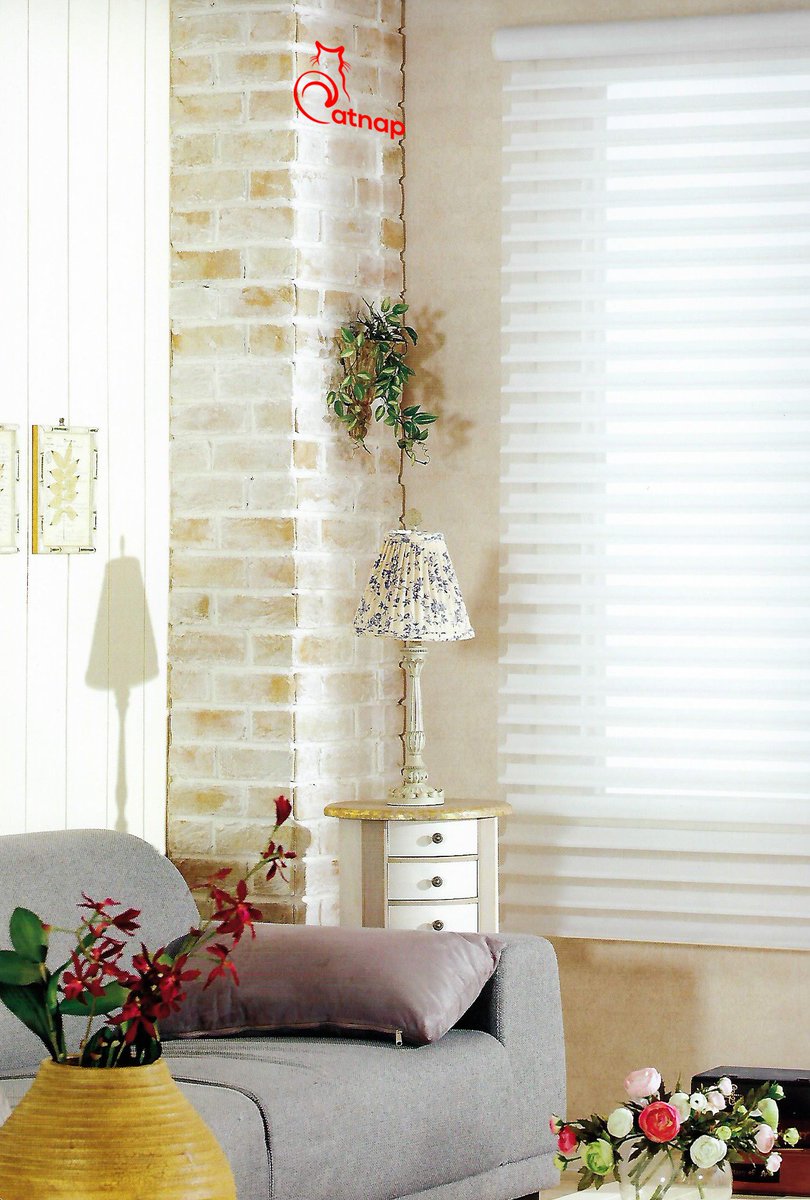 Catnap_Lair's tweet photo. Finding blinds that will stand out in your living room? It's here!
#Catnap #Blinds #Classic #Singapore #homedesign #furniture #HomeDecor https://t.co/FzkSLC1PuP