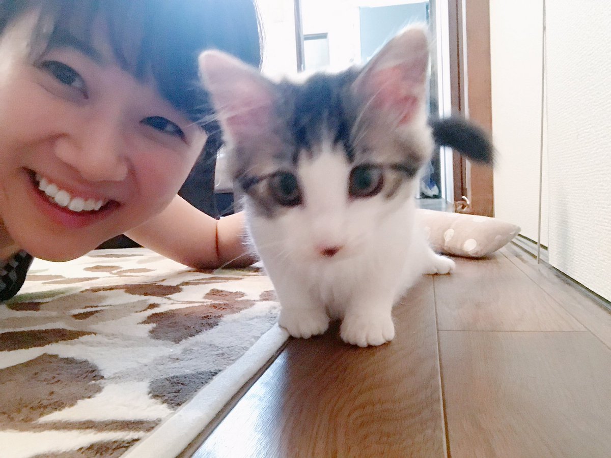 太田 唯 Twitterren 今日は19 00 生き物にサンキュー が放送です 今回は イケメン猫特集 保護にゃんハウスは あられちゃんをクローズアップです 感動必至だとか お見逃しなく
