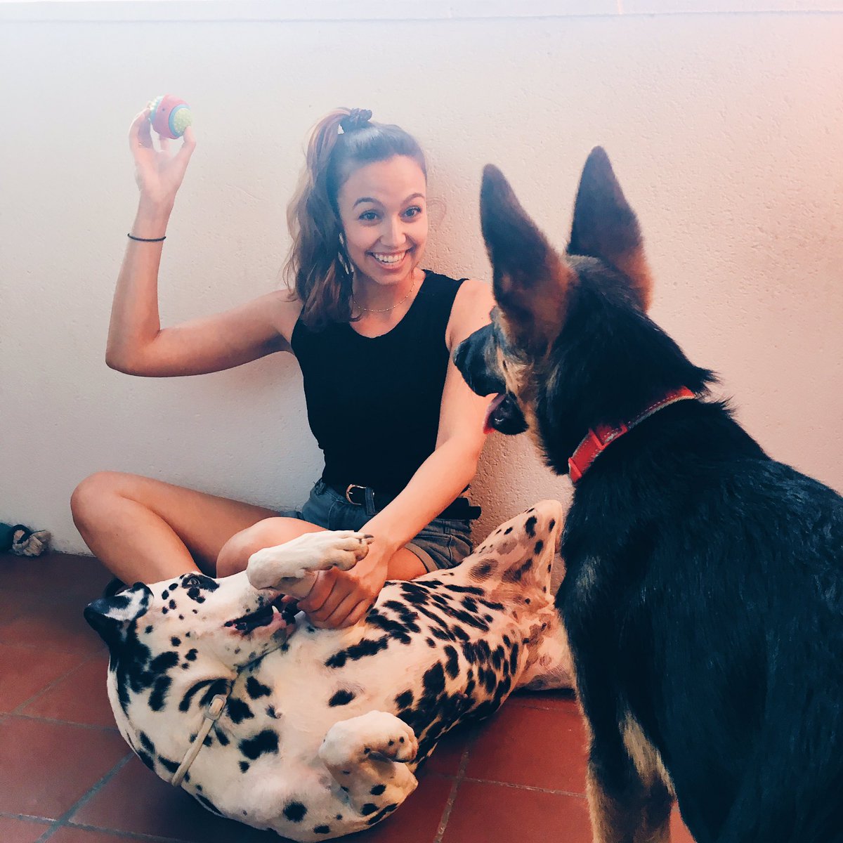 qbitApp's tweet photo. Nuestros influencers dan visibilidad al amor por sus 🐶😻 1 tuit con @CiviClub = 1 día de comida a animales sin hogar ❤️ Hagamos #cosasbuenas https://t.co/u0O84njmRp