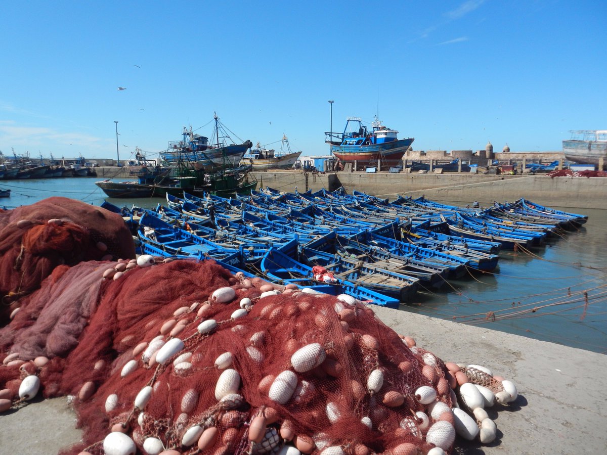 #DYK #Morocco is #Africa's largest #maritime #fisheries producer w/ a total of 1.3 million tons (2014)? #Fisheries #SDG14