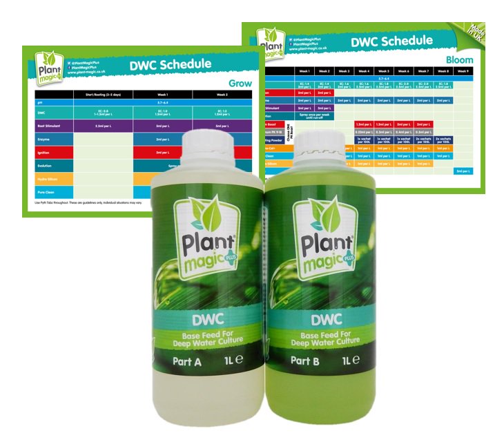 plantmagicplus's tweet photo. Learn all about #DWC 💦🌱growing methods by reading our latest #blog here:
https://t.co/kJoGWasmJs
#WednesdayWisdom #Hydroponics #GrowMagic https://t.co/R9MPeXgLyX