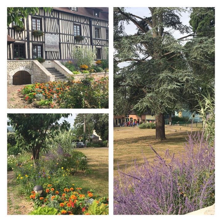 Alizay (@alizayvillage) on Twitter photo 