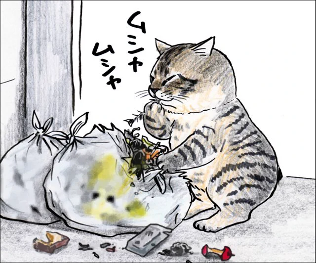 3〜4年前のことだ。 