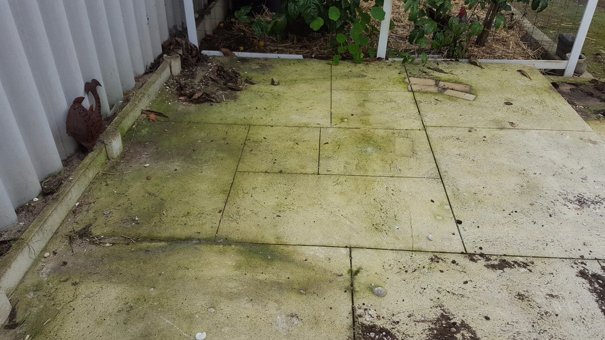MrBlastit's tweet photo. For a quality #highpressurecleaning service in the #Perth #metro call @MrBlastit on 6365 4028 or 0419 350 332
https://t.co/PQDwGBXE1Z https://t.co/uSjpfdMDNW