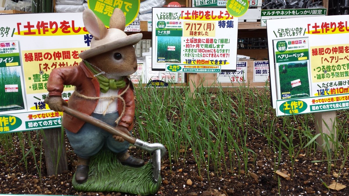 ガーデンセンター富里店～ 7月に入って久々の雨。 緑肥を蒔いて10日目