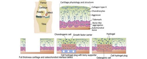 Immodgel Project tweet media