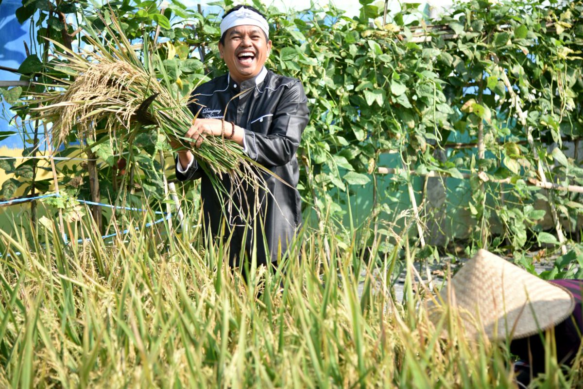 tong sieun ku merang pare, merang ge nyieun kamakmuran.