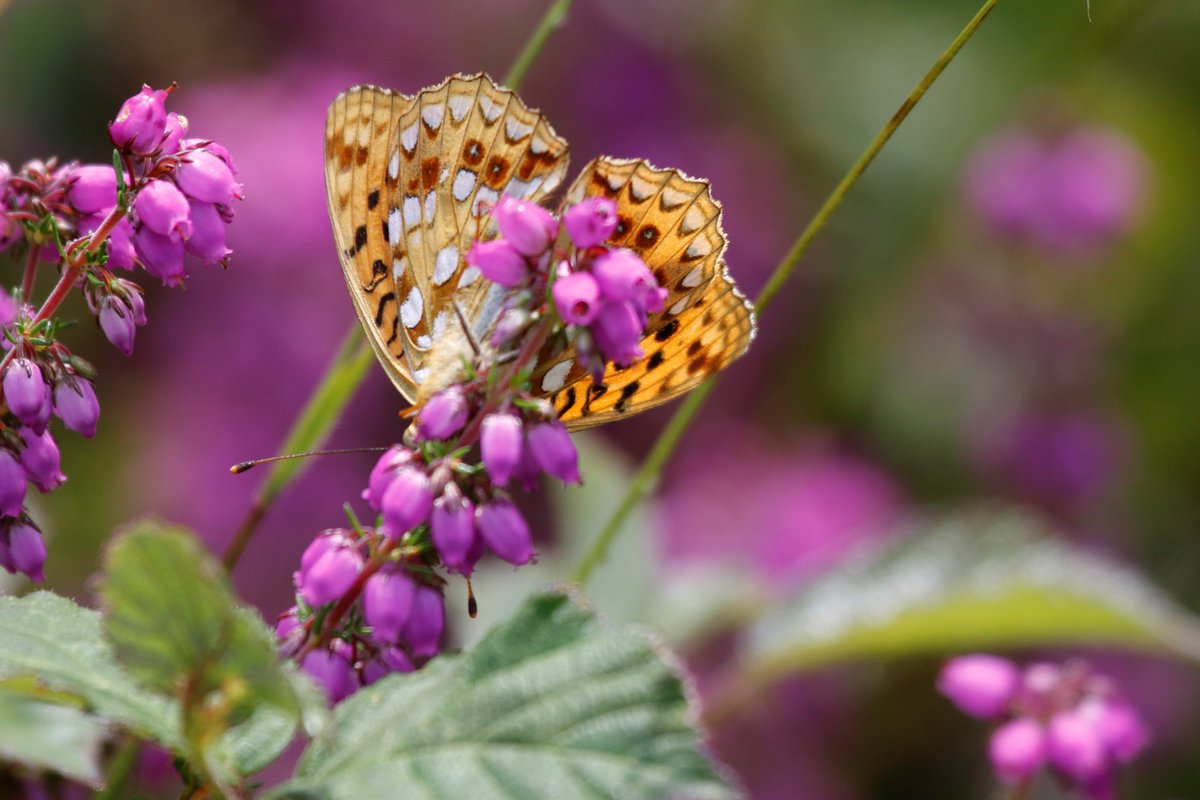 Daniel Bound tweet media