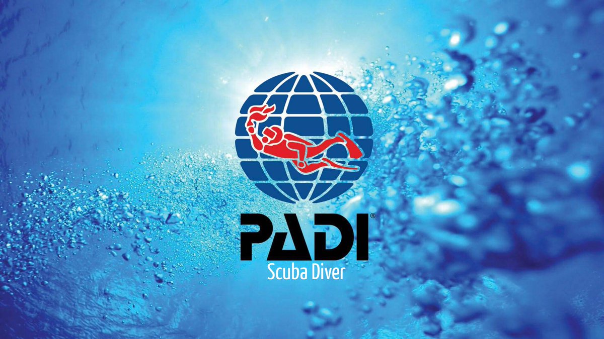 TheTimeLovers's tweet photo. ¡ 10% DTO ! ¡ ESTE VERANO NO TE QUEDES SIN PRACTICAR BUCEO Y SUBMARINISMO  ANTES PVP: 690.00 € AHORA PVP : 621.00 € https://t.co/LtoudrJpau https://t.co/iySsKSOfs3