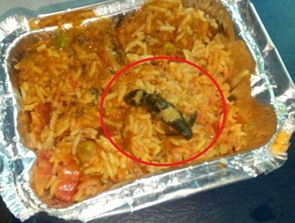 RaoAbhimanyuu's tweet image. No lessons learnt from CAG report on 'unsuitable' food; lizard found in veg. biryani served onboard #PoorvaExpress  
@IYC @rssurjewala