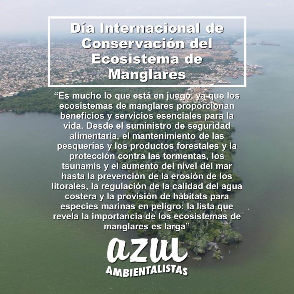 #FelizMiércoles... Hoy #26Jul es el Día Internacional de Conservación del Ecosistema de Manglares #DíaDeLosManglares wp.me/P85o72-2Dk