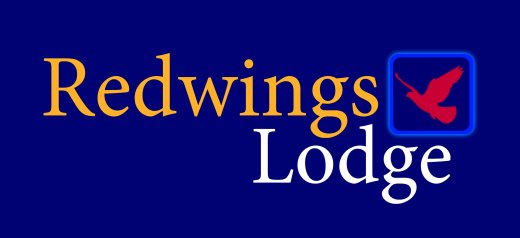 RedwingsRut's tweet photo. If you've still not made plans yet don't leave it too late, book your next affordable stay with us today. https://t.co/LTPwfihepn #Rutland https://t.co/PkB7qRyDJb